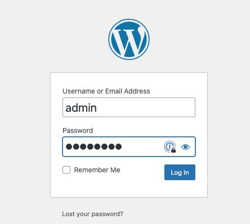 Log in to your WordPress Admin Dashboard.