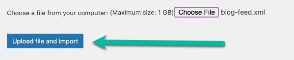 You should see your file's name next to the Choose File button, and the Upload File and Import button should be blue now, instead of gray.